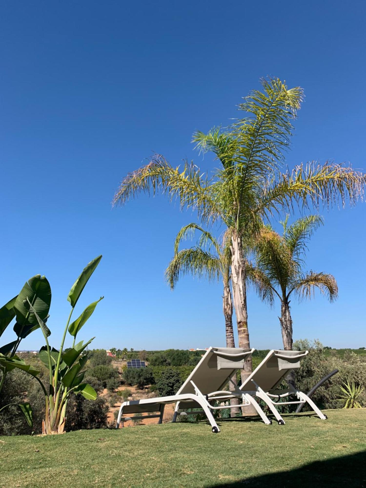 B&B Quinta A Fonte Tavira - Adults Only Luaran gambar
