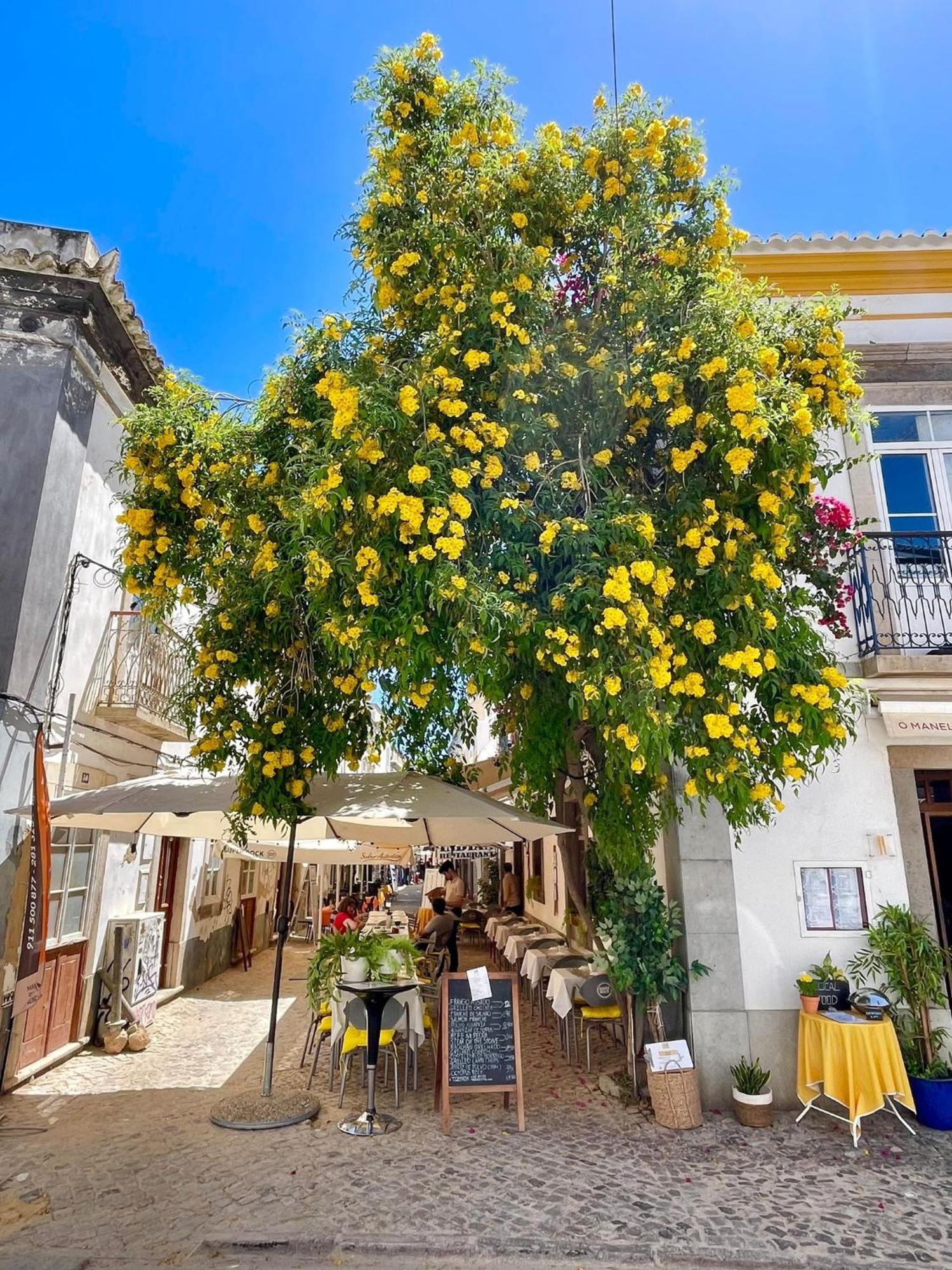B&B Quinta A Fonte Tavira - Adults Only Luaran gambar